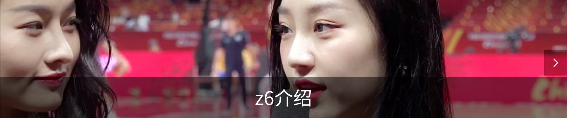 z6介绍
