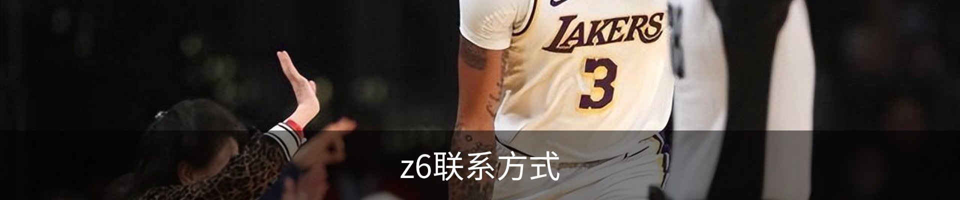 z6联系方式